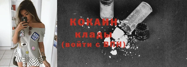 амф Дмитриев