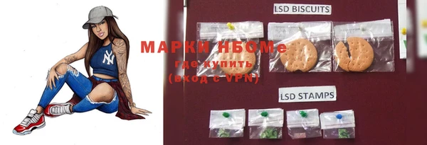 амф Дмитриев