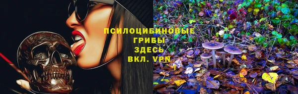 амф Дмитриев