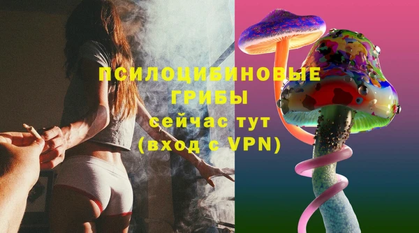 таблы Дмитровск