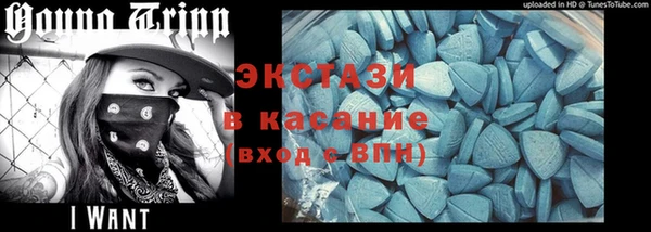 амф Дмитриев