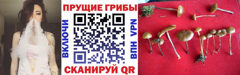 Псилоцибиновые грибы мухоморы  Красногорск 