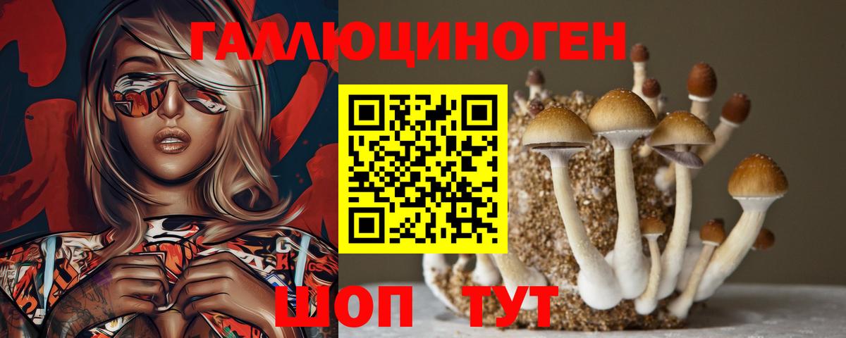 Псилоцибиновые грибы Magic Shrooms  Вход с VPN  Псилоцибиновые грибы ЛСД  Красногорск 